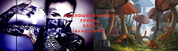 спайс Белокуриха